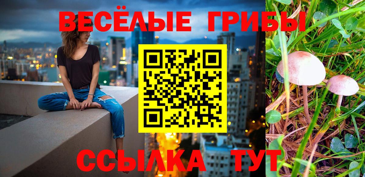 Псилоцибиновые грибы Magic Shrooms  Вход с VPN  Кимры 
